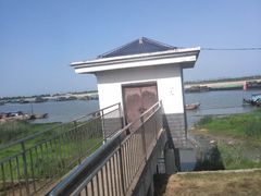 -合肥滨湖国家森林公园