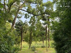 -杭州植物园