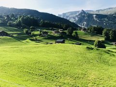 -波尔登森林公园