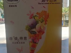 -哈根达斯(石家庄北国店)