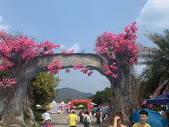 -天适樱花悠乐园