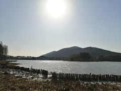 -长广溪湿地公园