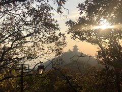 -杭州半山国家森林公园