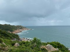 -广东惠东海龟国家级自然保护区
