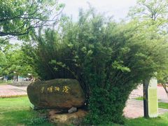 -东钱湖小普陀景区