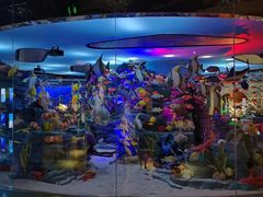 -成都泰迪熊博物馆