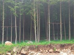 -大连天门山国家森林公园
