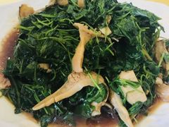 -蔡阿水羊肉店