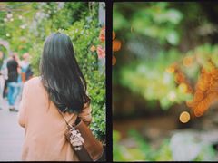 -The Grounds of Alexandria