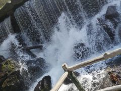 -凤凰山国家森林公园