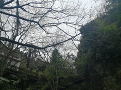 -安溪清水岩