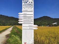 -风云岭森林公园