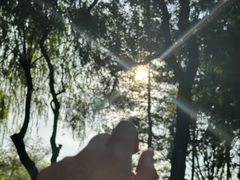 -哈尔滨文化公园