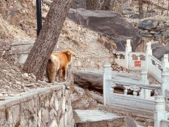 -潭柘寺景区