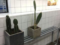 -洛佩塔蛋糕