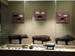 -中国农业博物馆
