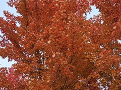 -水秀国际大剧院