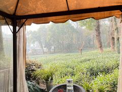 -野蔓果·山野菜(西湖景区·龙井茶田店)