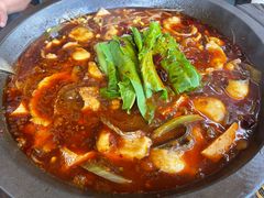 -都江堰石锅鱼