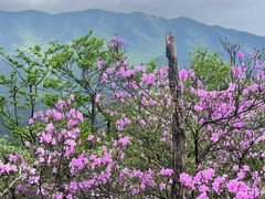 -庐山风景名胜区