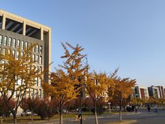 -南京航空航天大学(将军路校区)