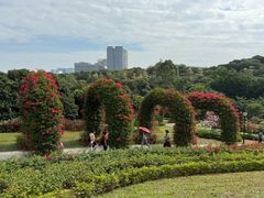 -东莞植物园