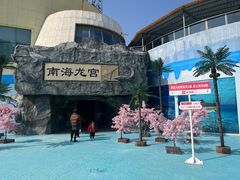 -芜湖新华联大白鲸海洋公园