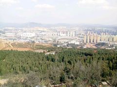 -长虫山生态公园风景林
