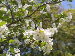 -浙江大学(玉泉校区)