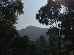 -深圳仙湖植物园