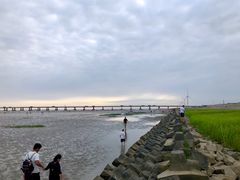 -南汇嘴观海公园