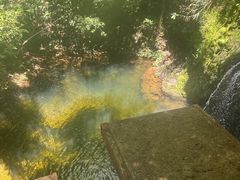 -万泉河漂流