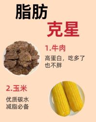 -Fundi张玉珊修身堂·indiba·BTL科技瘦身
