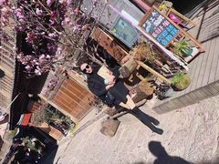 -嘉华鲜花饼(四方街旗舰店)