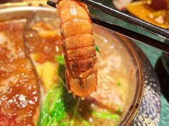 -牛New寿喜烧(金鹰世界店)