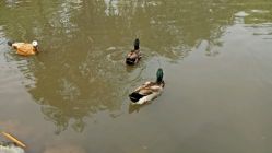 -苏菲亚婚纱影楼尊爵店(昆区店)