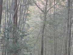 -丹山赤水风景名胜区
