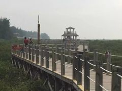 -北海金海湾红树林生态旅游区