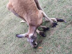 -泉州海丝野生动物世界