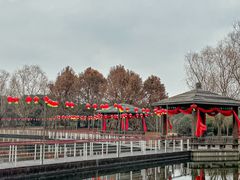-同里国家湿地公园