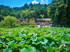 -韶山毛泽东同志故居