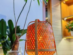 -陆羽泡的茶(集散中心店)