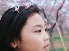 -天适樱花悠乐园