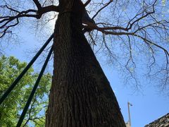 -北京上方山国家森林公园