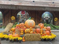 -郑州方特梦幻王国