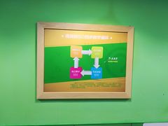 -小问号·科学启蒙·逻辑思维·阅读素养·口才演讲(杨浦合生汇中心)