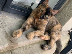 -星巴克(上海交通大学店)