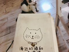 -海边的猫和咖啡馆