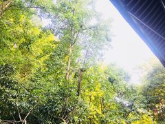 -国生茶庄·地道农家菜团建活动