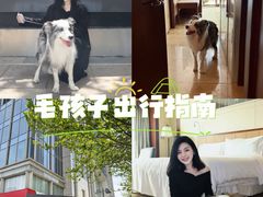 -天津君隆威斯汀酒店